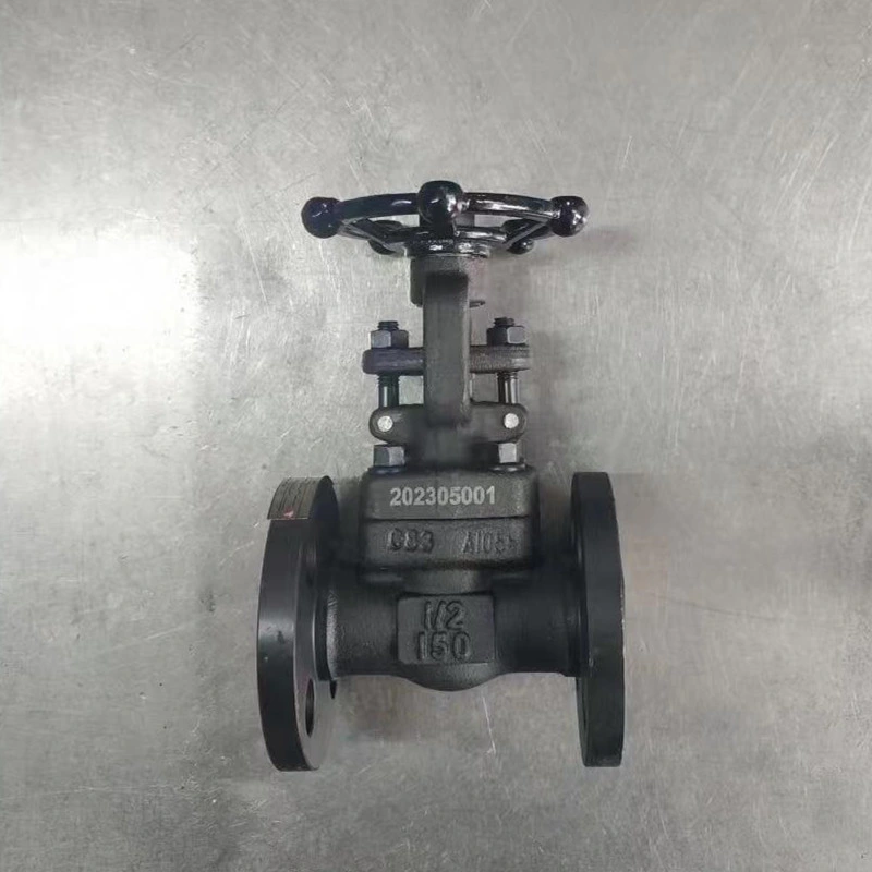 Wholesale High Quality Forged Steel A105 A105n Globe Valve Gate Valve Check Valve